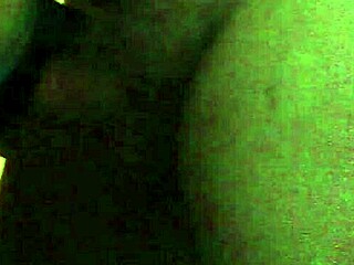 argentinian liza pet in casual home setting