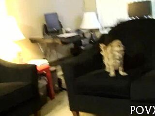 Teen 18+ hairy pussy receives multiple cumshots in hardcore pov