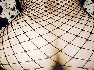 I hotly fuck my milf wife in mesh lingerie, her assfucking feels so good pov.