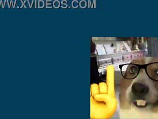 Reviewing Anime Cartoon