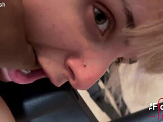 Trailer Evie Christian gets the obedience bench!