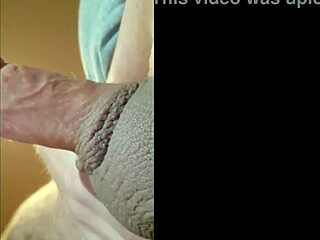 makin' a tribute vid for martina fragola, oops!