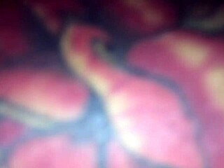 Latina Neighbor Fucks With Big Ass