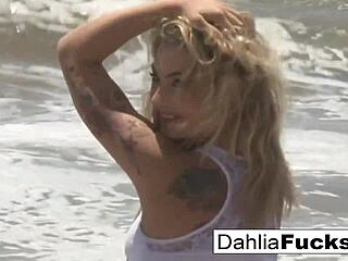 Hot Dahlia Sky masturbates solo.