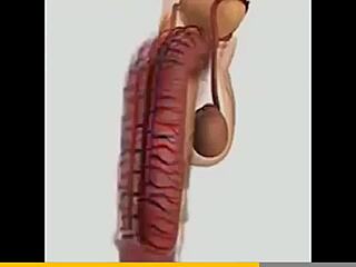 home alone twinks enjoy their private time