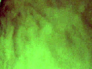 Horny Amateur with Big Ass Gets Eaten Out