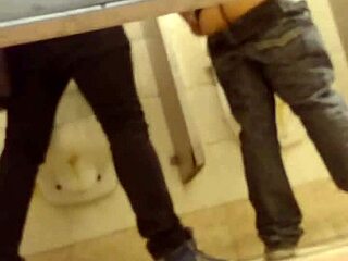 Curious about gay action in a tight toilet space?