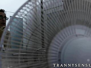 Smoking hot shemale Casey intensely kisses and sucks her insecure boyfriend's monster cock