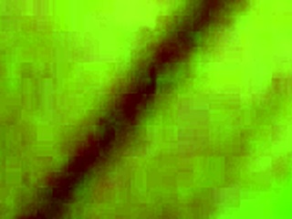 Afternoon fuck sesh with my black ex, cum on my belly?