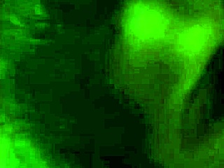 Chupando verga grande sucking big dick