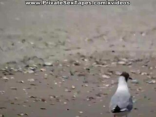 Sexy Blonde Gf In Raunchy Intense Fuck On Vacations