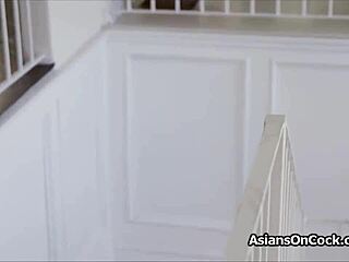 अरे, एशियन कॉलेज गर्ल, फोन पर रहते हुए लंड चूसना पसंद है?