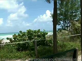 Abella Anderson is fucking a lucky stranger in missionary and cowgirl positions