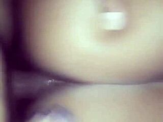 Big ass amateurs showing off their curves in casual everyday settings