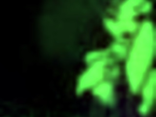 Muscular bodybuilder fucks in star channel 34 part 87