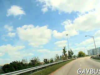 i love gay bear porn scenes