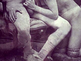 I did anything goes with vintage hairy beaver