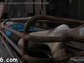 Hardcore action that’ll blow your mind