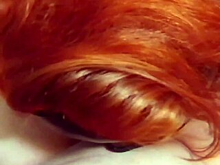 amateur hot wife slurps on cock for creampie