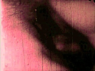 vintage erotic drawings