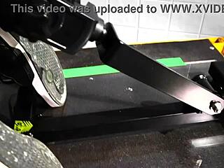 Fort troff diamond x fuck machine