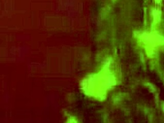 Got bent over for my favorite doggystyle position today