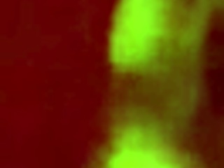 Наведох се за любимата си догистайл поза днес