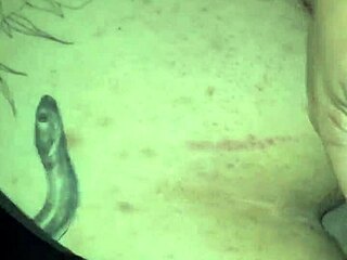 he fucked my chubby latina ass until cum