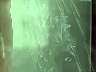 the sims deep throat scene