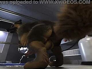 h0rs3 gets fucked by machine in this compilation?