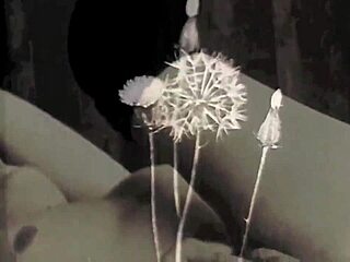 My secret life vintage silent films from retro era