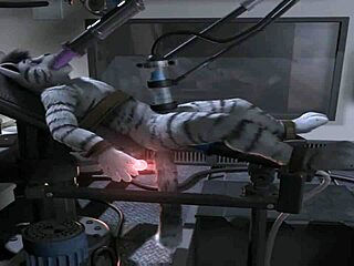 h0rs3 gets fucked by machine in this compilation?