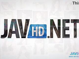 i fuck a japanese chick in stockings vol 7