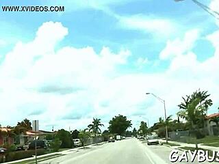 Two gay lads engage in oral sex and sucking