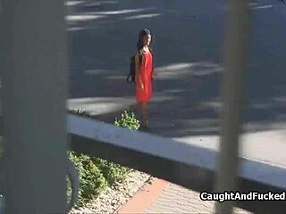 Neighbors' wild ex delivers intense blowjob