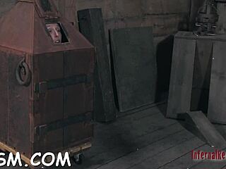 Hardcore pounding in raw action with intense moves.