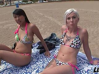 Ehi, hai visto questa orientale Francesita? Che fa con quel culo grande e le sue abilità nel pompino?