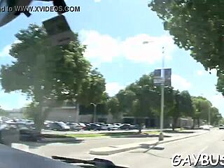 gay hunk gives blowjob in pov