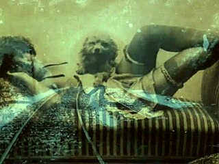 Vintage Animalation Classics