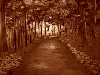 狐娘游戏第三集骚play