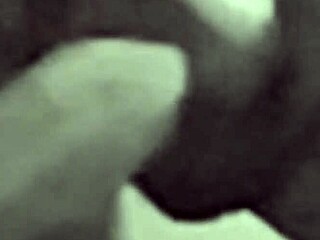 Lionel Hearts swallows 25cm toy