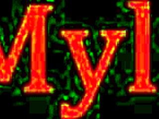 is havana bleu riding in the woods?