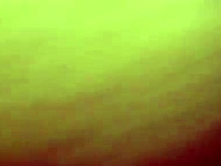 Big Black Cock Teases Fat White Pussy