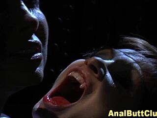 Slut with nice ass gets fucked hard in the ass and mouth, gaping wide.