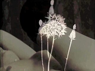 Oh, This Vintage British Nurse's Taboo Interracial Cock Encounter!