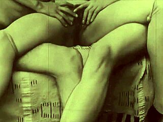 Vintage Erotic Story with Blowjob and Fucking