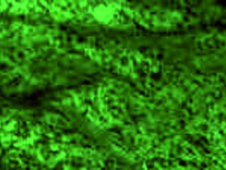 redhot fox gives a blowjob then gets bent over for doggystyle in this homemade video