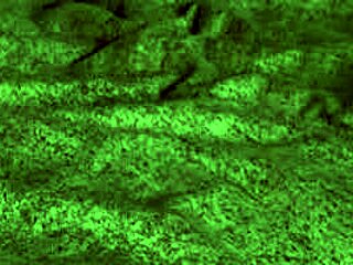 redhot fox gives a blowjob then gets bent over for doggystyle in this homemade video