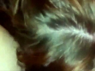 AMATEUR GIRLS LICK HAIRLESS TITS