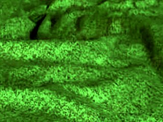 redhot fox gives a blowjob then gets bent over for doggystyle in this homemade video